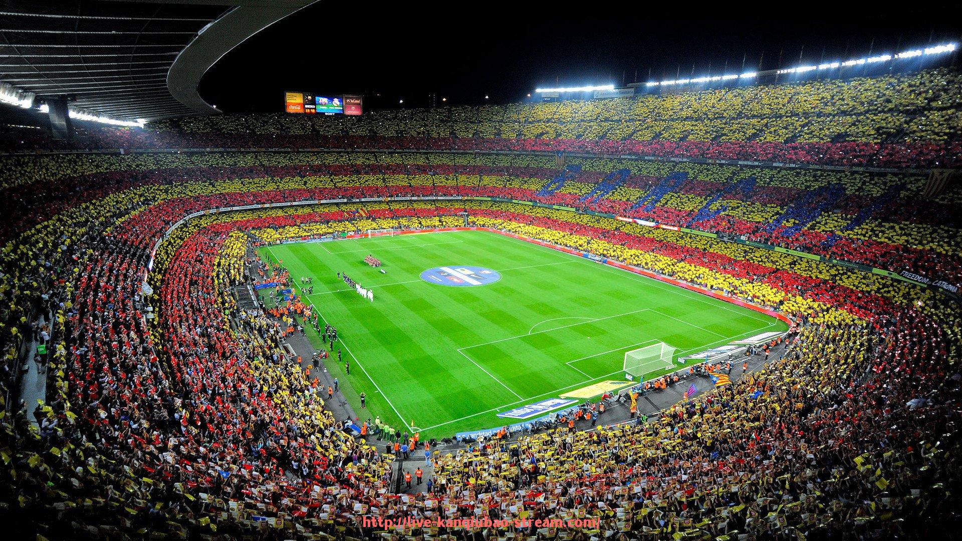 看球宝-促进大脑健康的健身器材推荐与科学依据