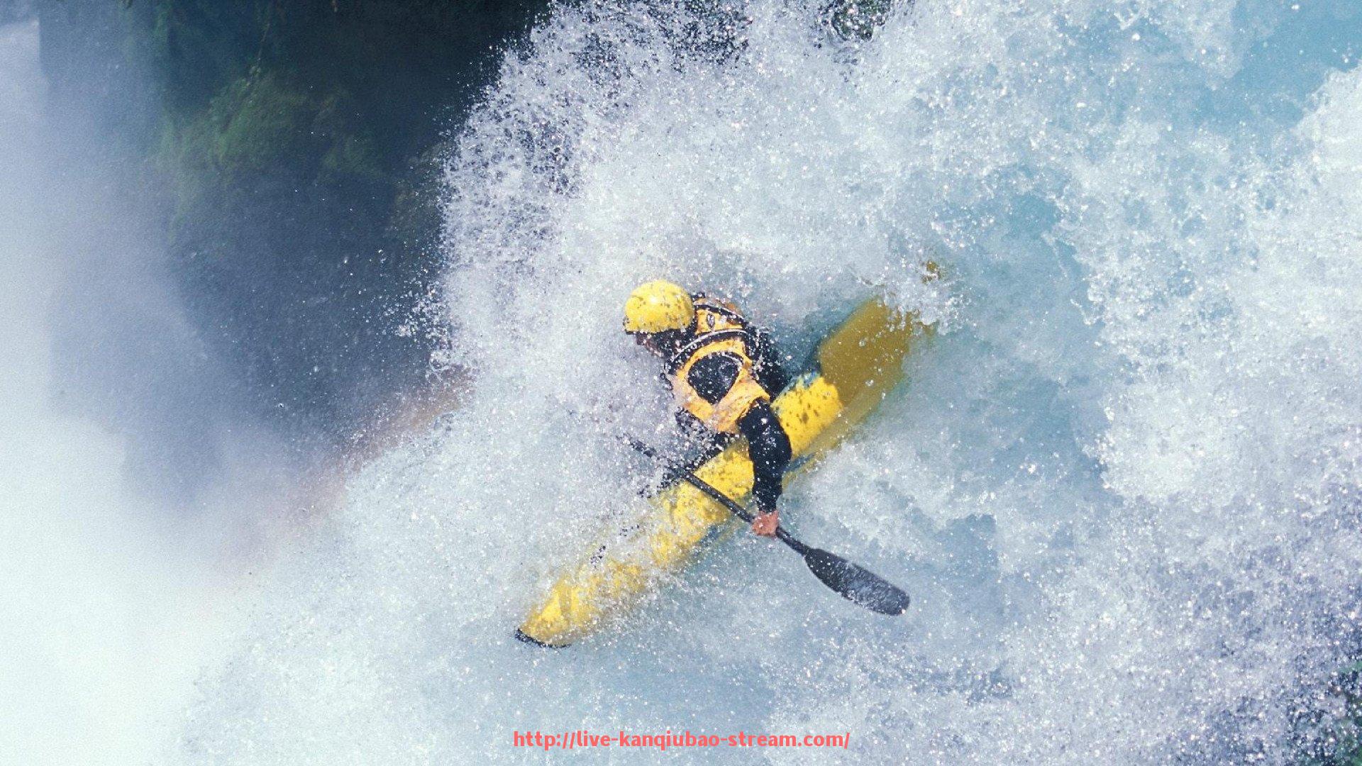 看球宝-舒华商用健身器材产品线及其体育运动专业设备介绍